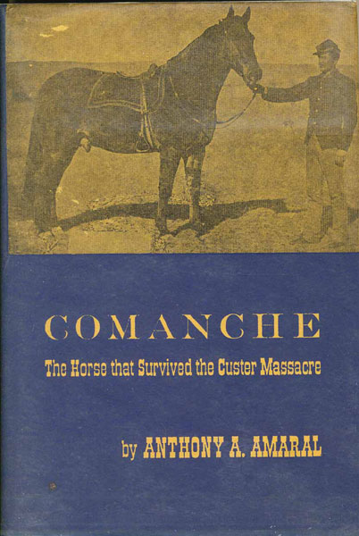 Comanche, The Horse That Survived The Custer Massacre. ANTHONY A. AMARAL