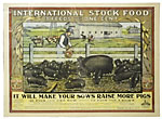 International Stock Food "3 …