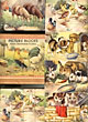 Child's 3 1/4" X 4" Picture Puzzles In Block Form. 