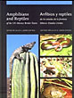 Amphibians And Reptiles Of …