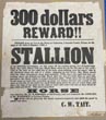 Broadside - 300 Dollars Reward!! Stolen From My Lot In The Town Of Columbus, Colorado County, Texas, On The Night Of The 10th Of January, 1867, A Stallion C. W. TAIT