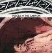 Voices In The Canyon CATHERINE W. VIELE